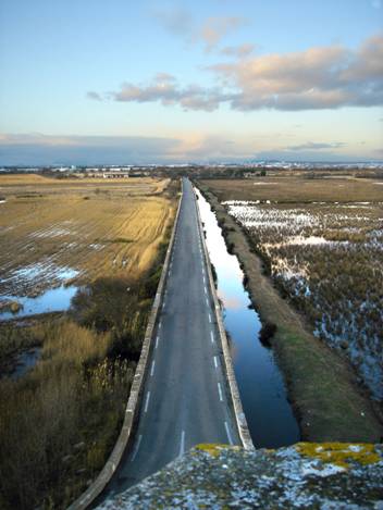 camargue.JPG