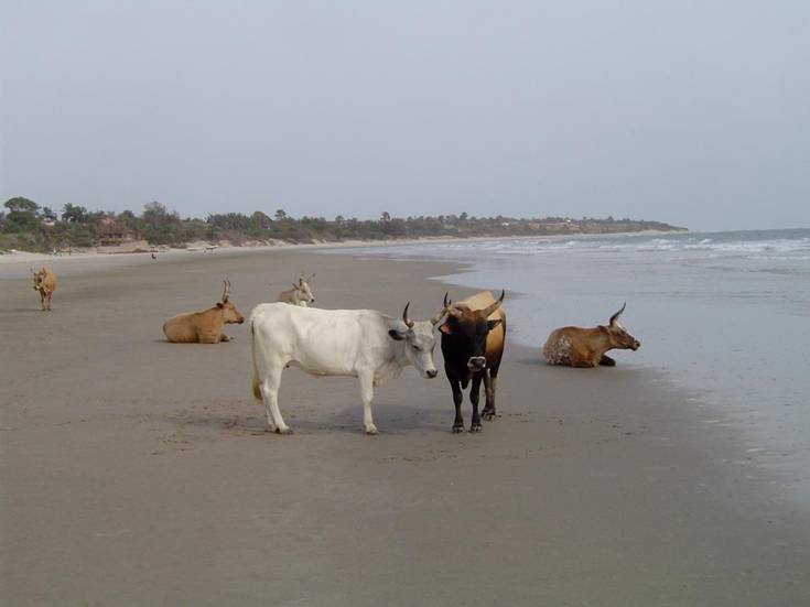 Casamance 048.jpg