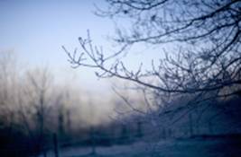 hq0828433.thw.jpg