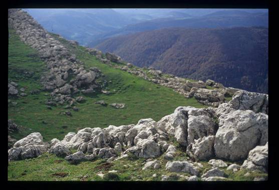 ichusi.JPG